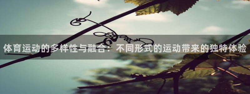 米兰体育app：体育运动的多样性与融合：不同形式的运动带来的独特体验