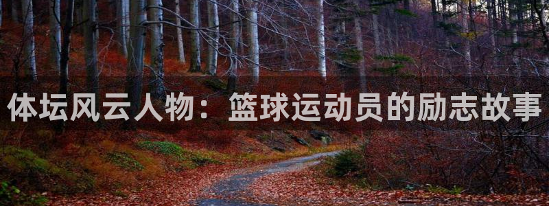 米兰体育下载官网最新版：体坛风云人物：篮球运动员的励志故事