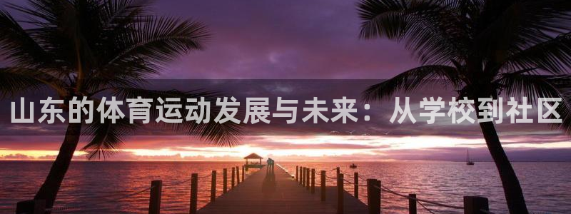 米兰体育官网入口：山东的体育运动发展与未来：从学校到社区