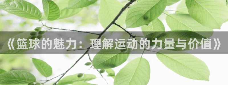 米兰体育入口：《篮球的魅力：理解运动的力量与价值》