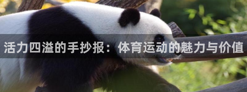 米兰体育怎么样：活力四溢的手抄报：体育运动的魅力与价值