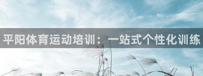米兰体育怎么样：平阳体育运动培训：一站式个性化训练