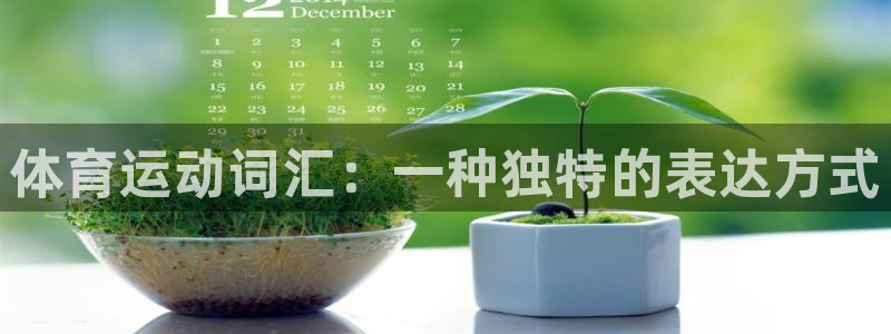 米兰体育登录：体育运动词汇：一种独特的表达方式