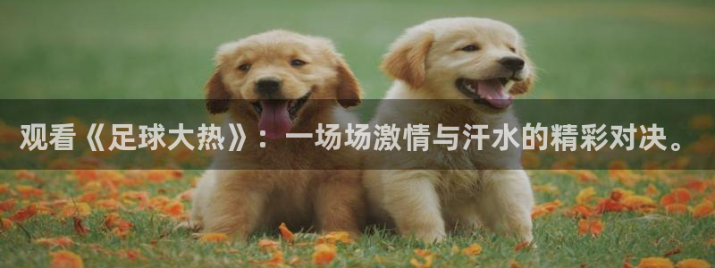 米兰体育入口：观看《足球大热》：一场场激情与汗水的精彩对决。